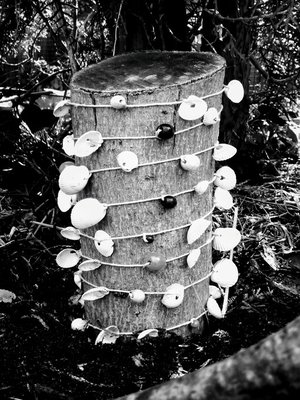 cover image of Komm, lieber Sturm
